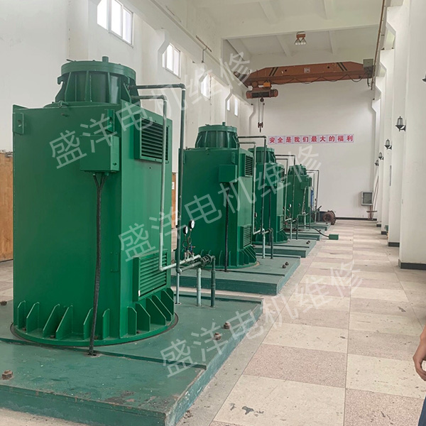 马鞍山专业维修电机